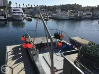 Τράτα προς πώληση