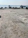 Αμφοβόλο προς πώληση