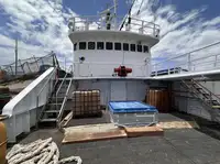 Τράτα προς πώληση