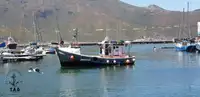 Τράτα προς πώληση