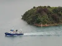 Καταμαράν προς πώληση