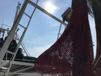 Τράτα προς πώληση