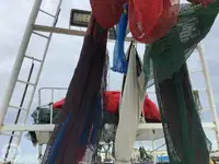 Τράτα προς πώληση