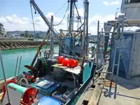 Trawler προς πώληση