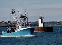 Purse seiner προς πώληση