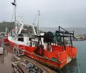 Τράτα προς πώληση