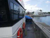 Καταμαράν προς πώληση