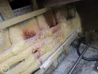 Τράτα προς πώληση