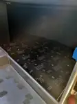Κρουαζιερόπλοιο προς πώληση