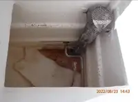 Πλοίο περιμετρικής αλιείας προς πώληση