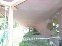 Αμφοβόλο προς πώληση