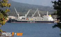 Πλοίο μεταφοράς χύδην φορτίου προς πώληση