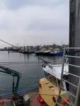 Τράτα προς πώληση