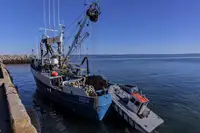 Πλοίο περιμετρικής αλιείας προς πώληση