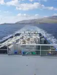 Ρυμουλκό πλοίο προς πώληση