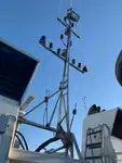 Ρυμουλκό πλοίο προς πώληση