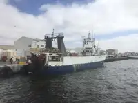 Τράτα προς πώληση