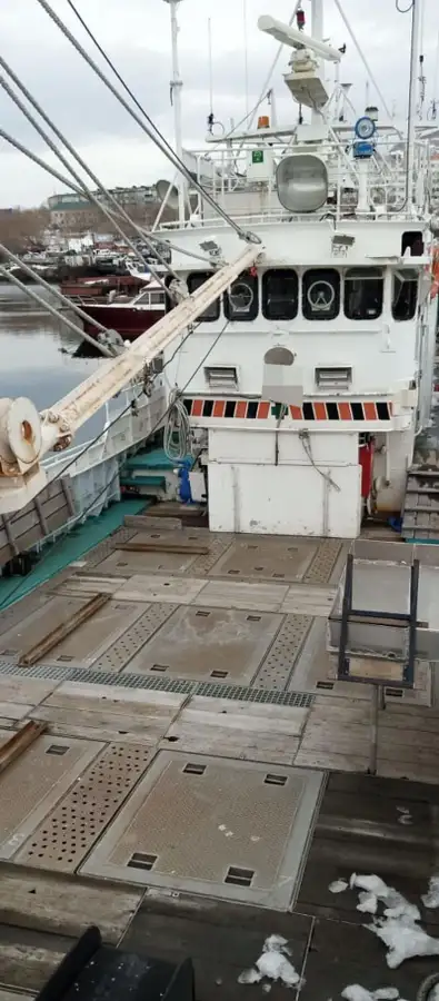 Τράτα προς πώληση
