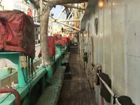 Πλοίο αλιείας καλαμαριών με ειδικό εργαλείο προς πώληση