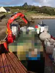 Εργατικά πλοία προς πώληση