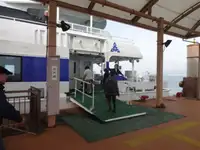 Καταμαράν προς πώληση