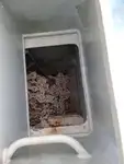 Πλοίο φέρι μποτ προς πώληση