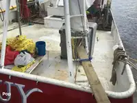 Τράτα προς πώληση
