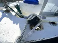 Τράτα προς πώληση