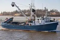 Purse seiner προς πώληση