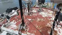 Ρυμουλκό πλοίο προς πώληση