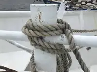 Τράτα προς πώληση