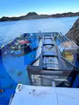 Πλοίο μεταφοράς χύδην φορτίου προς πώληση