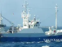 Τράτα προς πώληση