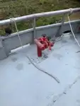 Εργατικά πλοία προς πώληση