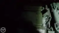 Τράτα προς πώληση