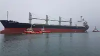 Ρυμουλκό πλοίο προς πώληση