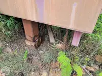 Αμφοβόλο προς πώληση