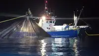Τράτα προς πώληση