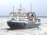 Τράτα προς πώληση