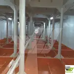 Αμφοβόλο προς πώληση