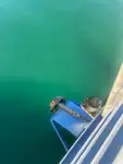 Πλοίο φέρι μποτ προς πώληση
