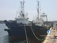 Τράτα προς πώληση