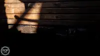 Τράτα προς πώληση