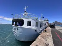 Τράτα προς πώληση