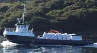 Εργατικά πλοία προς πώληση