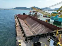 Αμφοβόλο προς πώληση