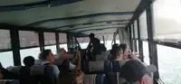 Αμφίβιο προς πώληση
