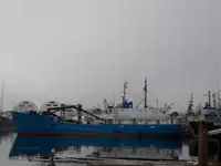 Πλοίο μεταφοράς χύδην φορτίου προς πώληση