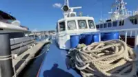 Πλοίο περιπολίας προς πώληση