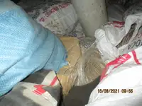 Τράτα προς πώληση